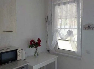 "White House"  Должанская