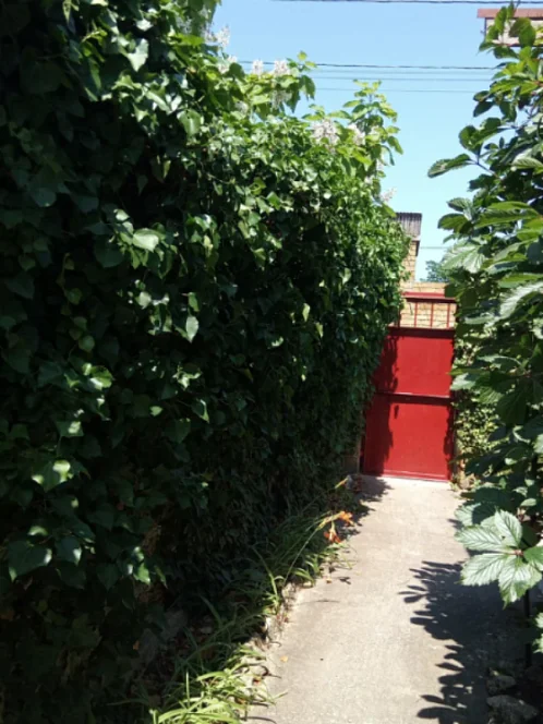 "НАШ КАЗАНТИП" гостевой дом, Новоотрадное Фото: 7 из 51