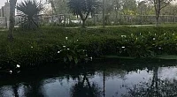 Частный сектор Приморская 13, Алахадзы