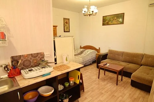 Квартира-студия Фото: 2 из 4