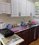 1-комнатная квартира на земле