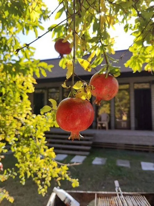 "С морем за калиткой" дом под-ключ, Мачара Фото: 10 из 39