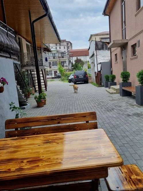"У Алены" мини-гостиница, Сухум Фото: 3 из 37