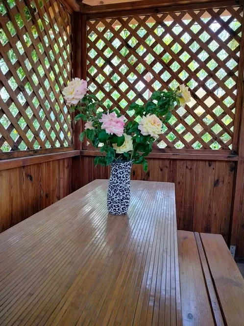 "Нектарин" частный сектор, Саки Фото: 8 из 33