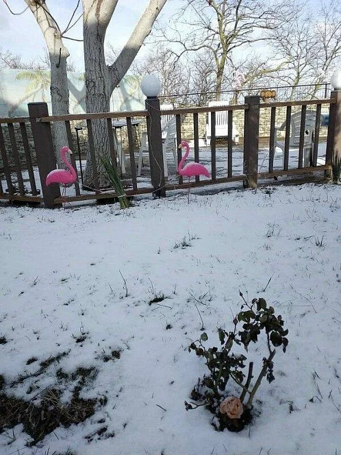 "Анжелика" этаж под-ключ, Ейск Фото: 48 из 51