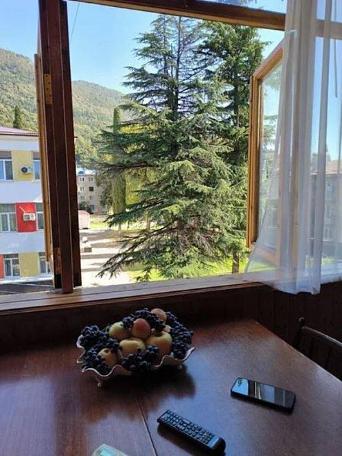 1-комнатная квартира Абазгаа 35/1 кв 9, Гагра Фото: 16 из 19