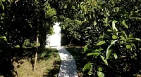"Сероводородных источников" гостевой дом, Новый Афон