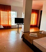 "Полулюкс" 1-местный