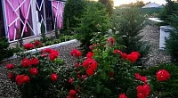 "На Почтовом" частный сектор, Кучугуры