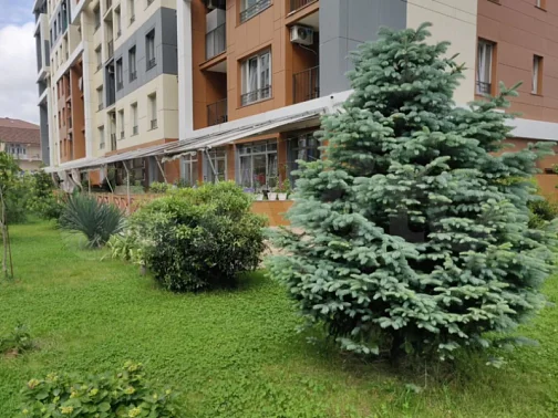 "Ретро" квартира-студия, Дагомыс Фото: 20 из 34