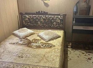 Дом  Западная 33 Голубицкая