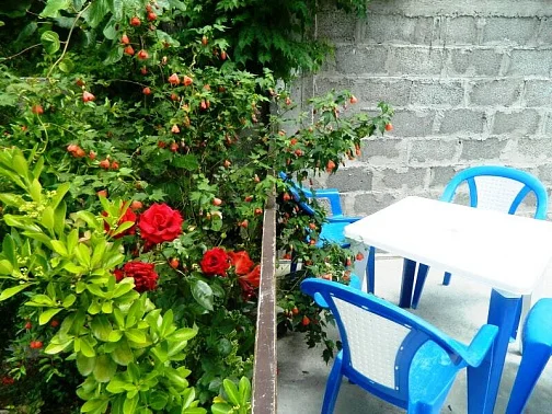 "Панорама" частный сектор, Лоо Фото: 9 из 35