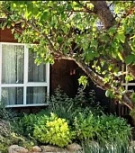 "Эко-Домик с террасой"