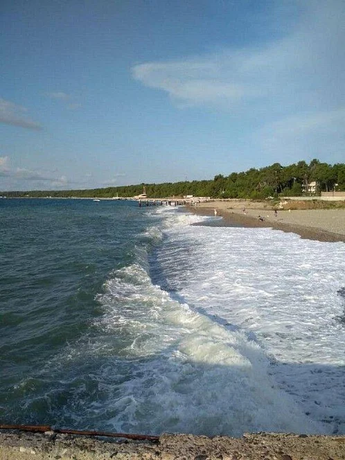 "Летний Рай" частный сектор, Лдзаа Фото: 10 из 50