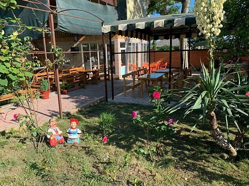 "Золотая рыбка" гостевой дом, Лдзаа Фото: 13 из 50