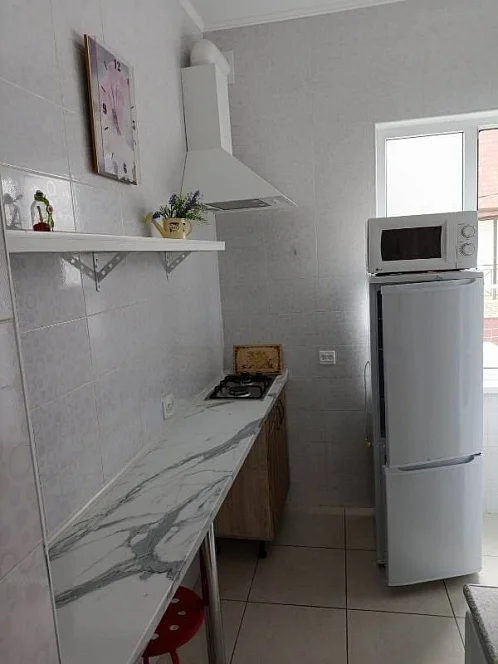 1-комнатная квартира Олега Кошевого 15 бокс 100, Дивноморское Фото: 3 из 8