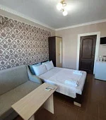 "1-комнатный с удобствами"