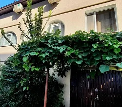 "Южный Берег" гостевые комнаты