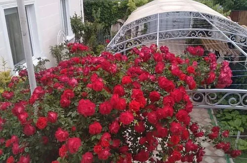 3х-комнатный дом под-ключ Фото: 8 из 15