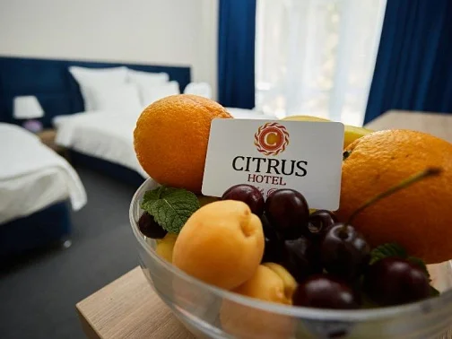 "Citrus Life Plus" отель, Алушта Фото: 15 из 22