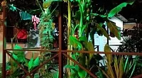 "У Юрия" частный сектор, Цандрипш