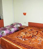 "Стандарт" 3х-местный