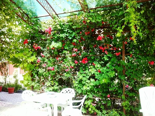 "Цветущий сад" частный сектор, Анапа Фото: 5 из 23