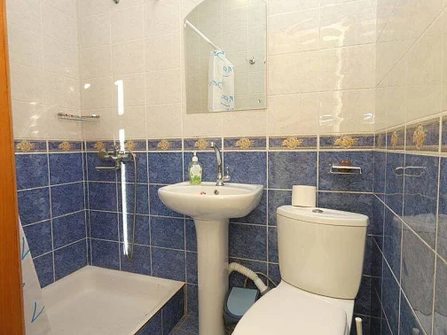 "АУРЕЛИЯ" эллинг, Лоо Фото: 33 из 41