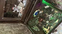 "Дом пирата" гостевой дом, Феодосия