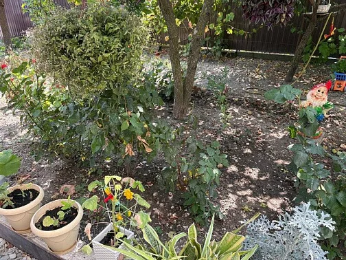 Частный сектор Горная 19, Кабардинка Фото: 5 из 47