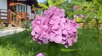 "МореХаус" коттеджный комплекс, Мачара