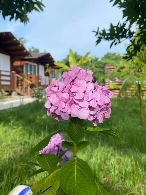 "МореХаус" коттеджный комплекс, Мачара Фото: 5 из 25