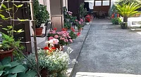 "У Эммы и Ашота" частный сектор, Цандрипш