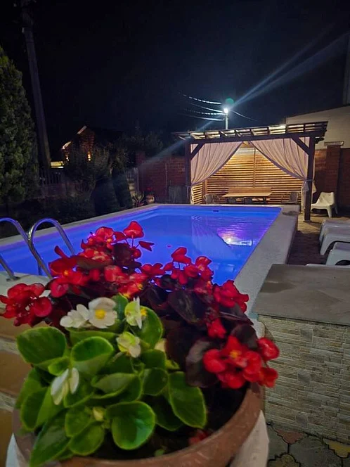 "Солнечный" гостевой дом, Новомихайловский Фото: 3 из 51