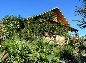 "Добрыня" частный сектор