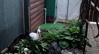 "Дом мечты" гостевой дом, Белосарайская Коса
