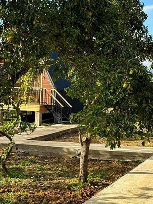 "Родные места" база отдыха, Асечкуа Фото: 16 из 47