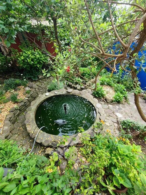 Гостевой дом ул. Суворова, Лазаревское Фото: 2 из 51