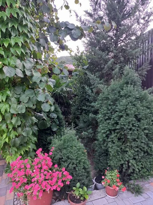 "Людмила" гостевой дом, Ольгинка Фото: 15 из 41