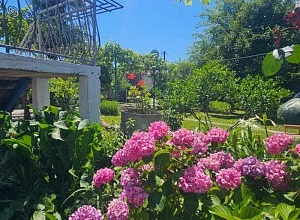 "Рабия" гостевой дом Лдзаа