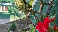 "Дом у Моря" комната под-ключ, Сухум