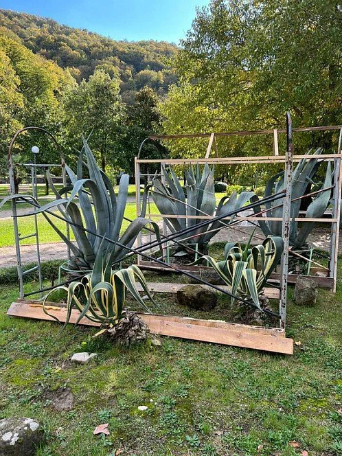 1-комнатная квартира Рассвет 1, Агой Фото: 19 из 21