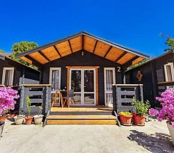 "ДЕЛЬФИН" гостевой дом