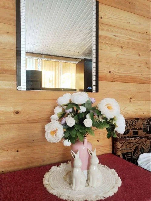 "S&S" частное домовладение, Лазаревское Фото: 22 из 49