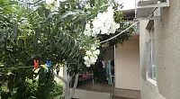 "Галина" гостевой дом, Гагра