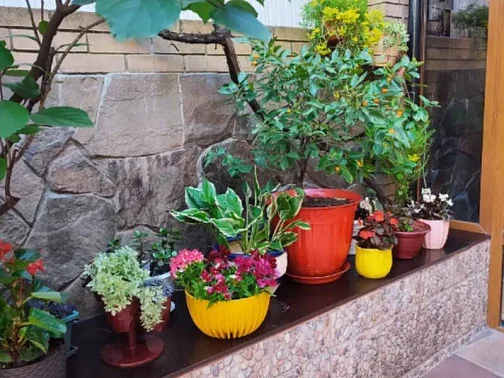 "Карина" гостевой дом, Адлер Фото: 22 из 51