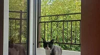Этаж под-ключ Коллективная 25, Кабардинка