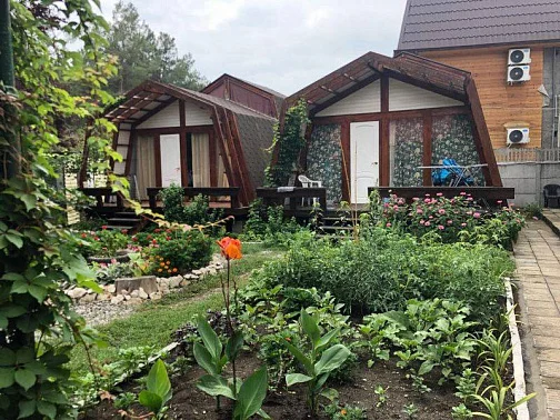 "Лука" гостевой дом, Пицунда Фото: 2 из 50
