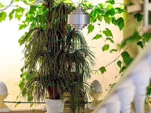 "Панорама" гостевой дом, Дивноморское Фото: 16 из 51