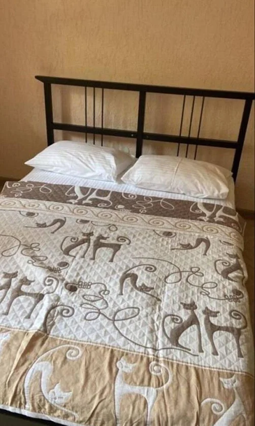 "Guest house Leon 10" гостевой дом, Пицунда Фото: 30 из 43